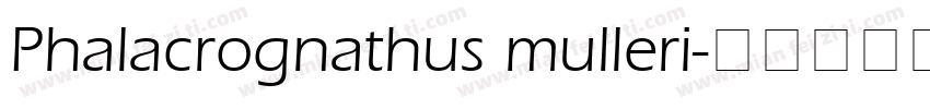 Phalacrognathus mulleri字体转换